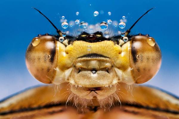 Photograph Omer Alp Evirgen Whatzupp on One Eyeland